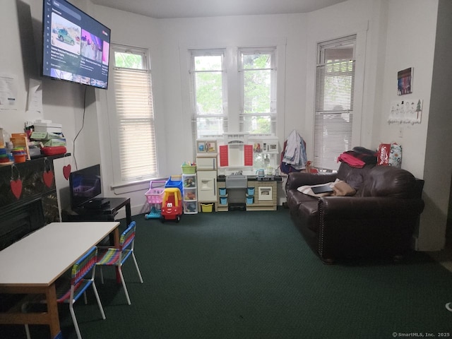 248-250 Howard Ave, New Haven, CT 06519 - rec room featuring carpet floors and plenty of natural light