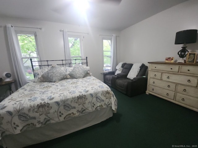 248-250 Howard Ave, New Haven, CT 06519 - bedroom featuring multiple windows, dark carpet, and ceiling fan