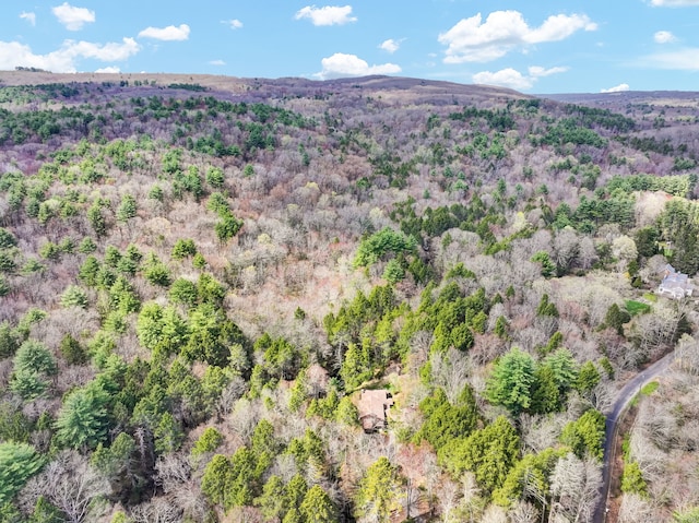 birds eye view of property featuring a wooded view
