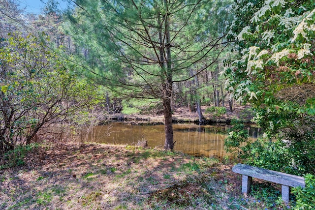 exterior space featuring a water view and a forest view