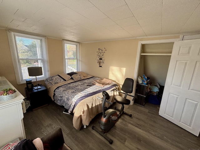 310 Sentinel Hill Rd, Derby, CT 06418 - bedroom featuring dark wood finished floors