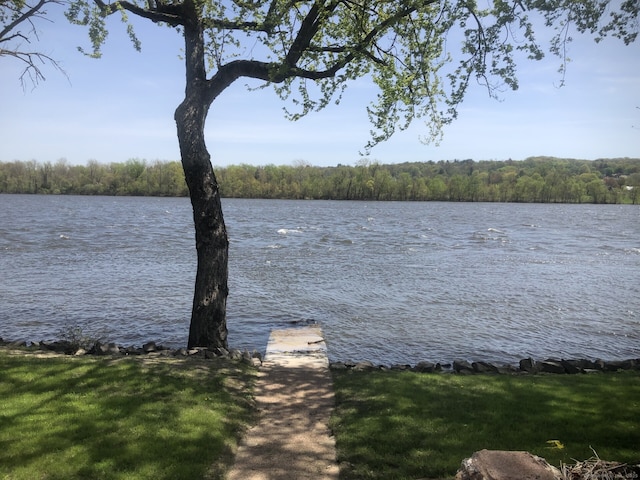 view of dock with a water view and a view of trees