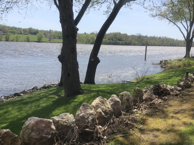 view of water feature featuring a view of trees