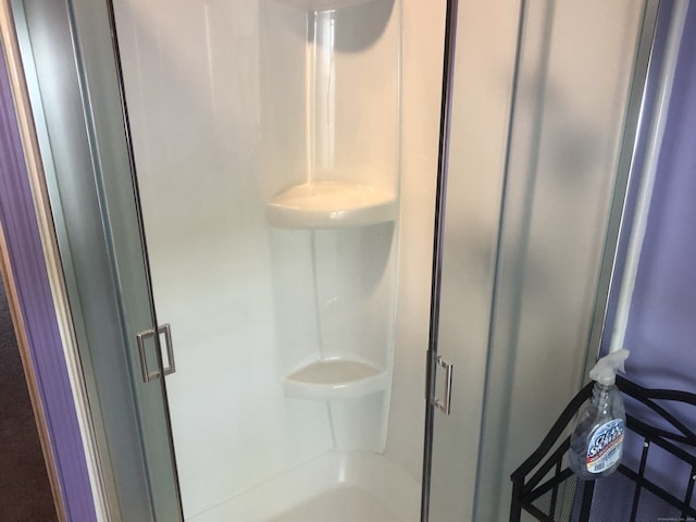 bathroom featuring a shower stall