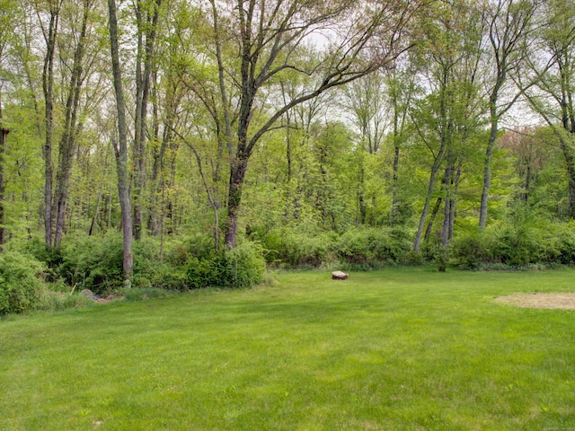 11 Stone House Dr, Plainfield, CT 06354 - photo 27