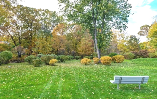 view of home's community with a lawn