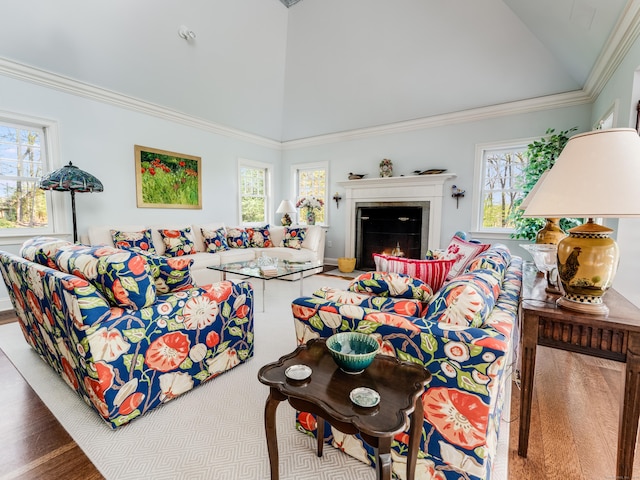 5 Clarks Ln, Old Lyme, CT 06371 - living area featuring plenty of natural light, high vaulted ceiling, wood finished floors, ornamental molding, and a fireplace