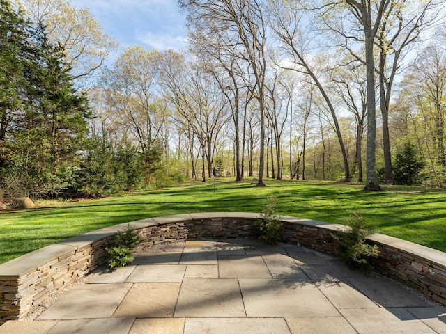 5 Clarks Ln, Old Lyme, CT 06371 - view of patio