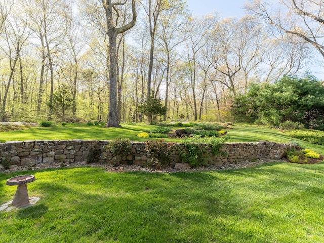 5 Clarks Ln, Old Lyme, CT 06371 - view of grassy yard