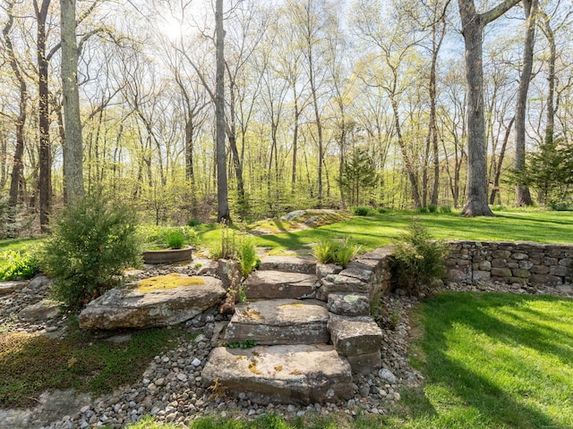 5 Clarks Ln, Old Lyme, CT 06371 - view of grassy yard