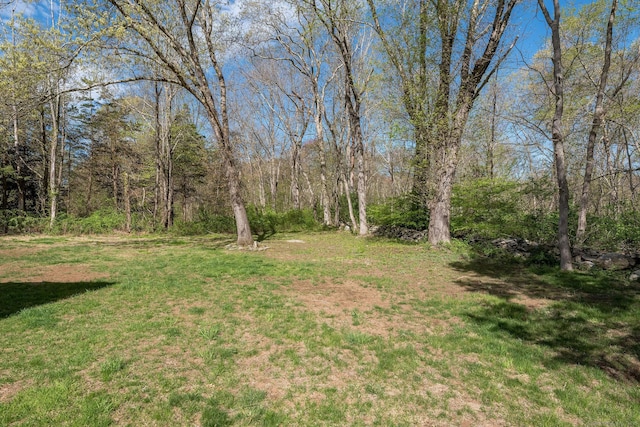 view of yard with a view of trees
