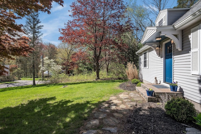 view of yard