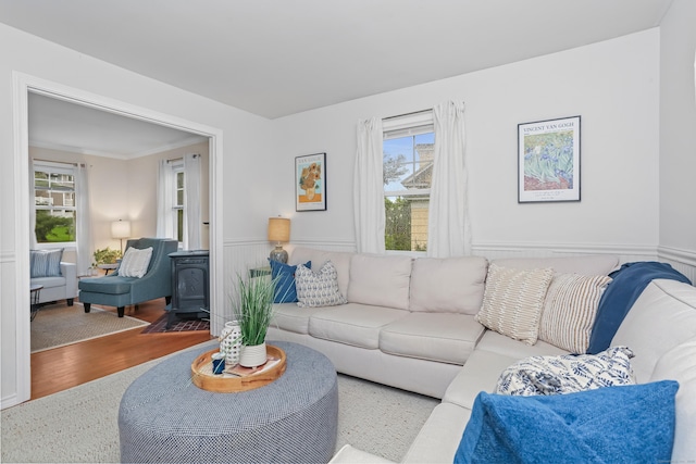 living room featuring a wood stove and wood finished floors