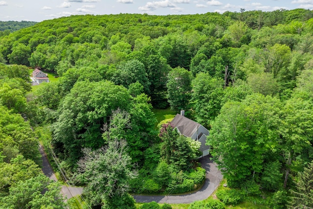 127 Hanover Rd, Newtown, CT 06470 - view from above of property featuring a forest