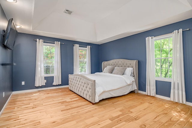 127 Hanover Rd, Newtown, CT 06470 - bedroom featuring a raised ceiling, light wood-style floors, and baseboards