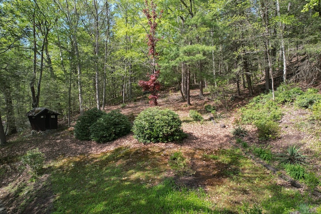 161 Center Hill Rd, Barkhamsted, CT 06063 - photo 31