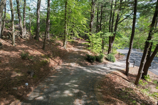 161 Center Hill Rd, Barkhamsted, CT 06063 - view of street
