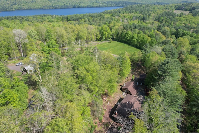 161 Center Hill Rd, Barkhamsted, CT 06063 - aerial view of a heavily wooded area and a nearby body of water