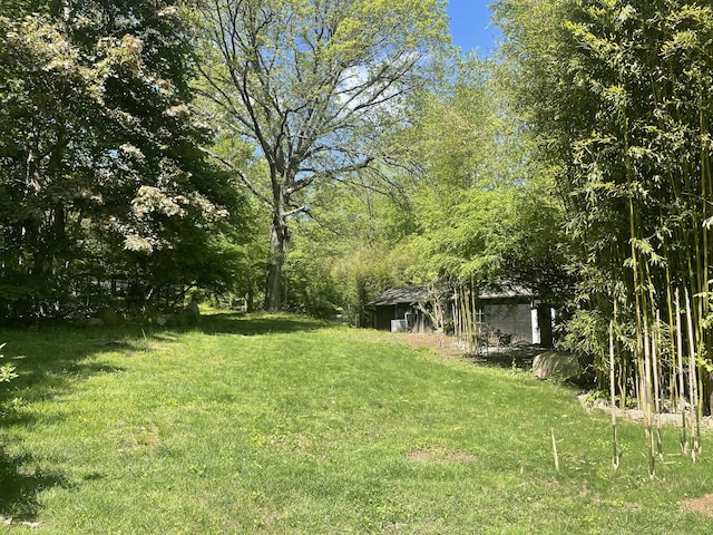 view of grassy yard