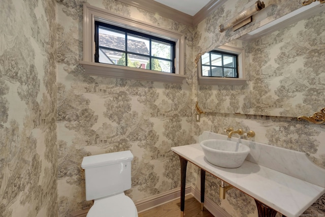 bathroom featuring wood finished floors, a sink, baseboards, toilet, and ornamental molding