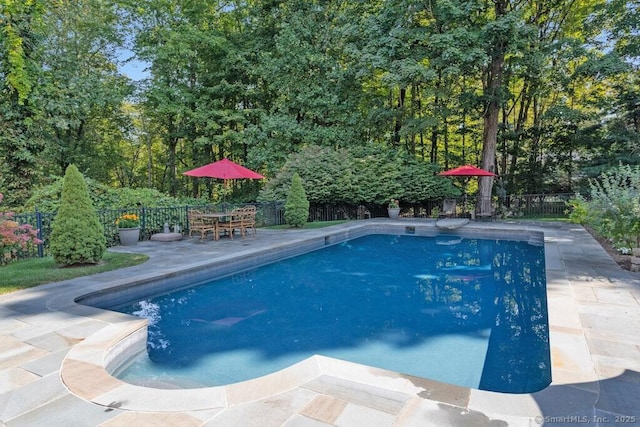 81 Silver Hill Rd, Ridgefield, CT 06877 - view of pool featuring a fenced in pool, a fenced backyard, and a patio area