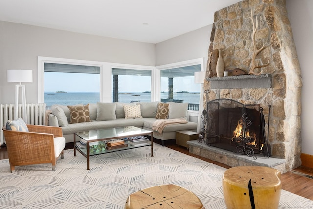 living room with radiator heating unit, wood finished floors, a healthy amount of sunlight, and a fireplace