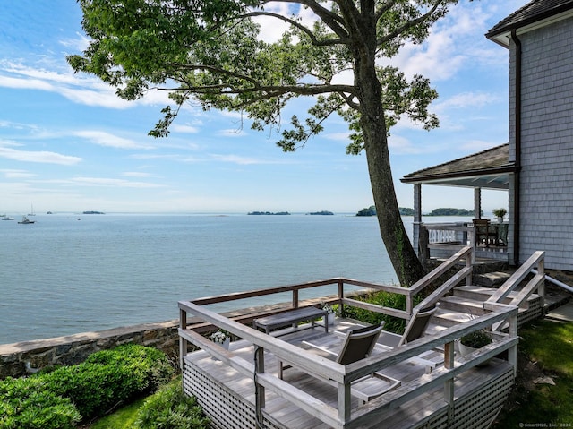 dock area with a water view