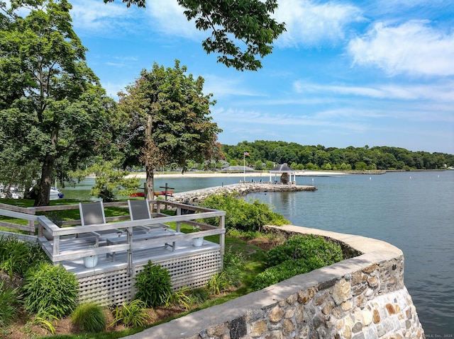 property view of water