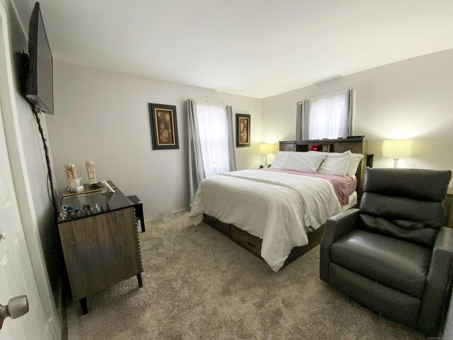 456 Main St, West Haven, CT 06516 - bedroom featuring multiple windows and carpet
