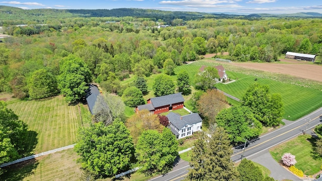 309 N Grand St, Suffield, CT 06093 - aerial view of a heavily wooded area