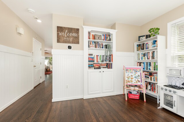 39 Wildemere Ave, Milford, CT 06460 - game room with a decorative wall, a wealth of natural light, dark wood-type flooring, and a wainscoted wall