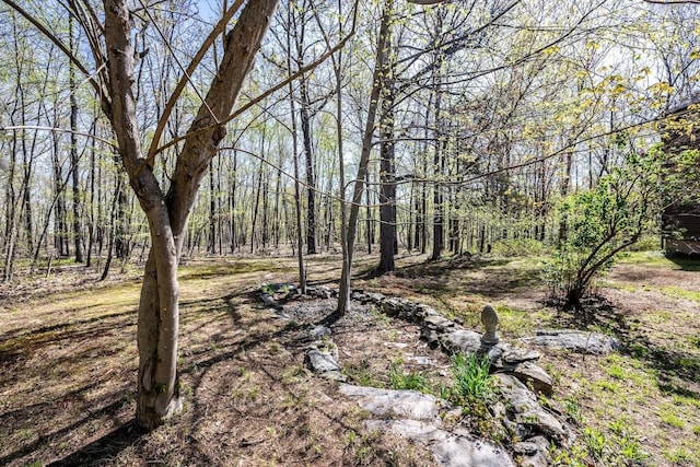 view of yard featuring a forest view