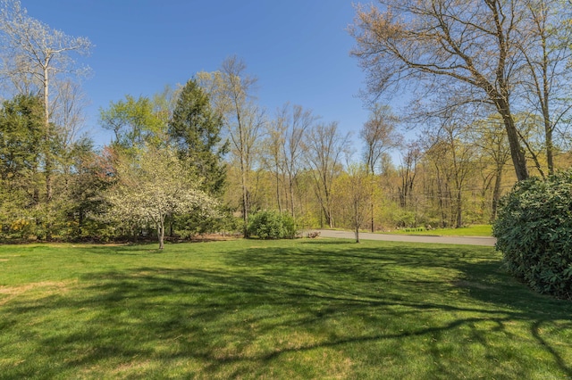 97 Doolittle Dr, Bethany, CT 06524 - view of yard