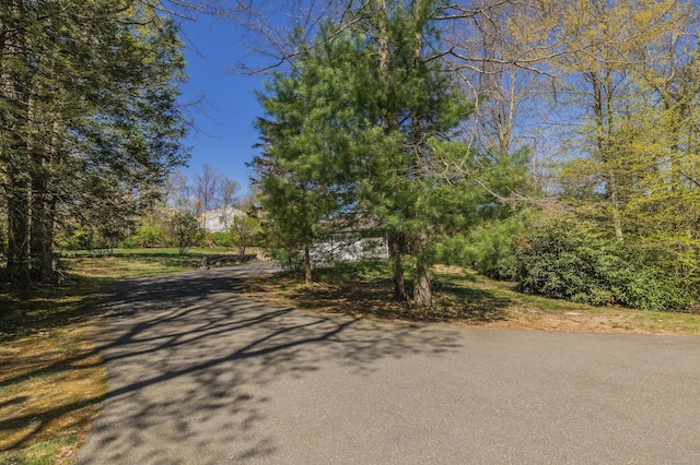 97 Doolittle Dr, Bethany, CT 06524 - view of road