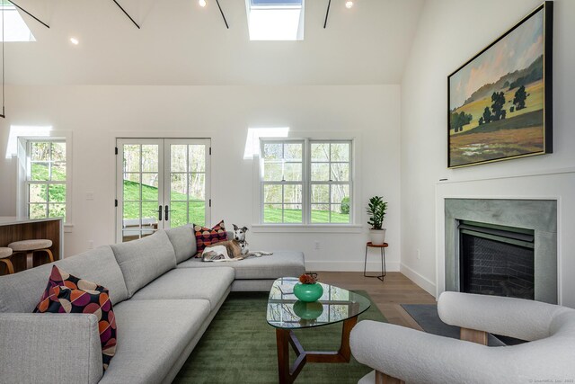 24 Tompkins Hill Rd, Washington, CT 06793 - living room featuring high vaulted ceiling, wood finished floors, a skylight, baseboards, and healthy amount of natural light