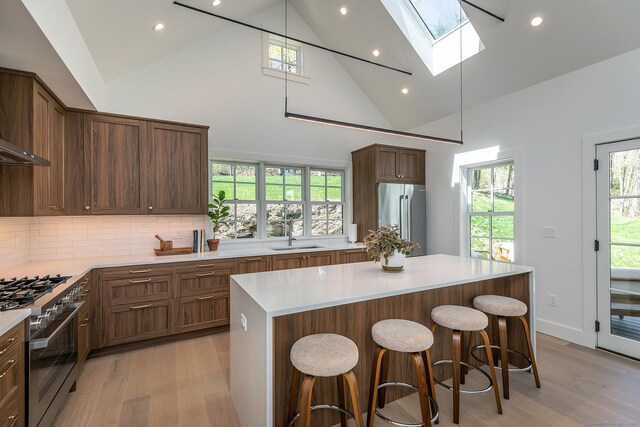 24 Tompkins Hill Rd, Washington, CT 06793 - kitchen with high quality appliances, a skylight, light wood-style flooring, a sink, and high vaulted ceiling
