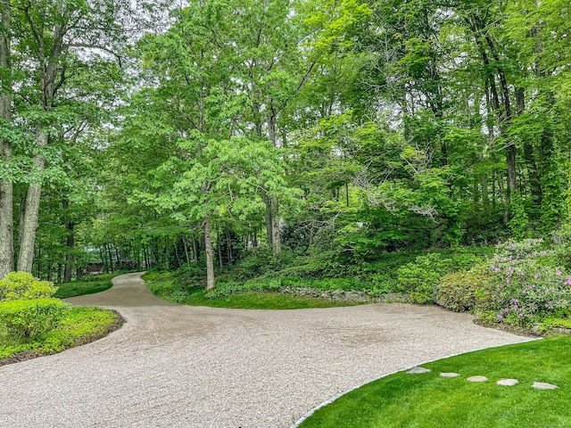 24 Tompkins Hill Rd, Washington, CT 06793 - view of property's community