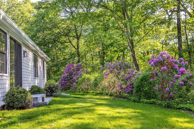 24 Tompkins Hill Rd, Washington, CT 06793 - view of green lawn