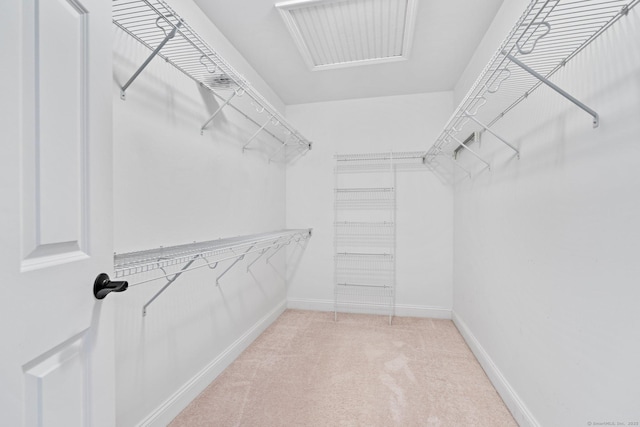 spacious closet with light colored carpet