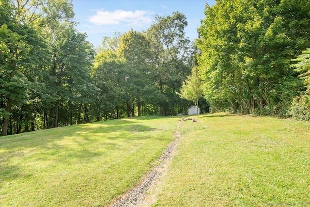 view of yard with a view of trees, an outbuilding, and a shed