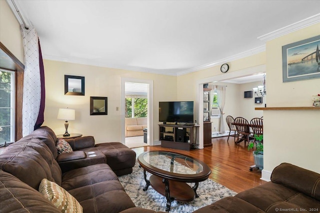 living room with baseboards, ornamental molding, and wood finished floors