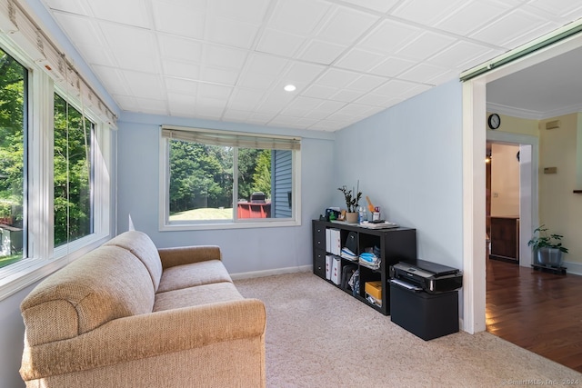 carpeted living room featuring baseboards and recessed lighting