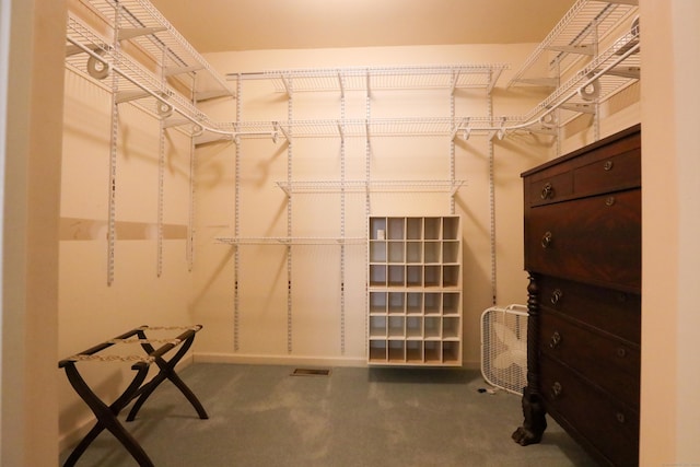 walk in closet featuring carpet