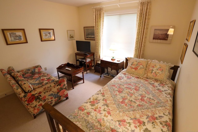 bedroom with carpet floors