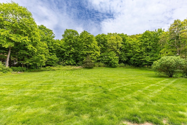 290 Waterville Rd, Avon, CT 06001 - view of green lawn