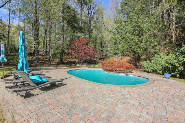 pool with a patio