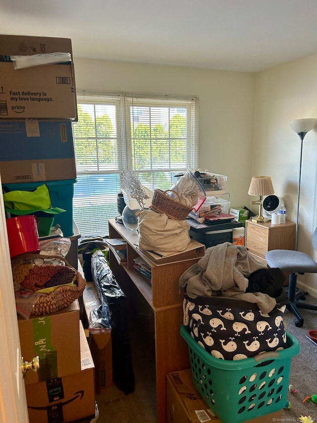 miscellaneous room with carpet