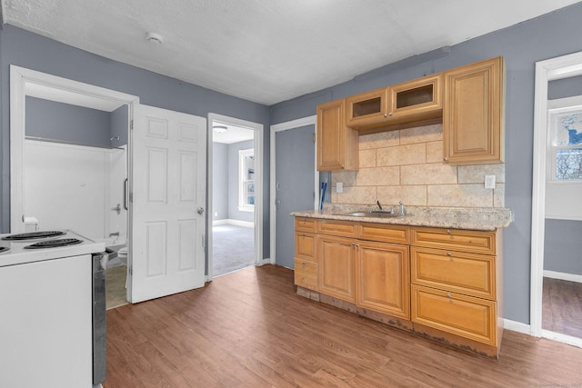 kitchen featuring a sink, light wood finished floors, white range with electric stovetop, and decorative backsplash