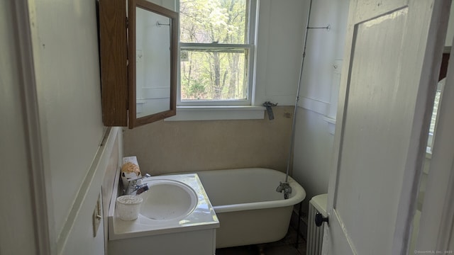 bathroom featuring vanity and a freestanding tub