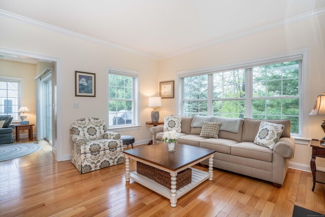 living area with ornamental molding, light wood finished floors, and baseboards